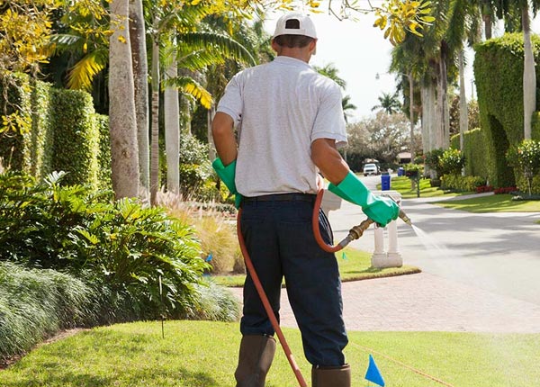About Barryton MI Pest Control